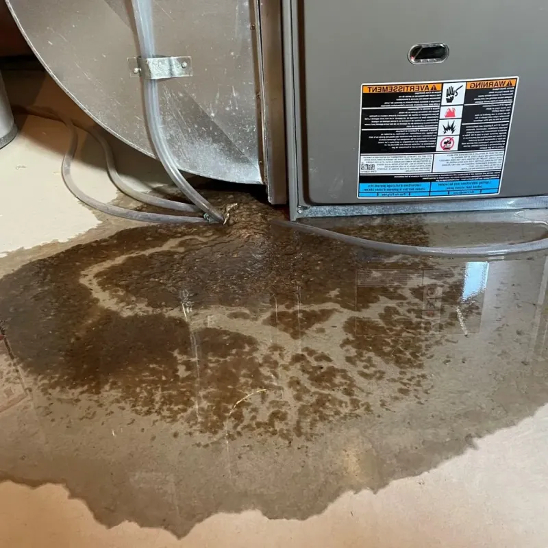 Pipe Burst and Leak Restoration in Mannford, OK